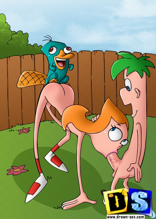 Toon sex. Phineas and Ferb share pussy. - Picture 2