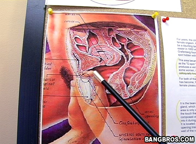 Sex at office. 16 pics of g-spot education! - XXX Dessert - Picture 3