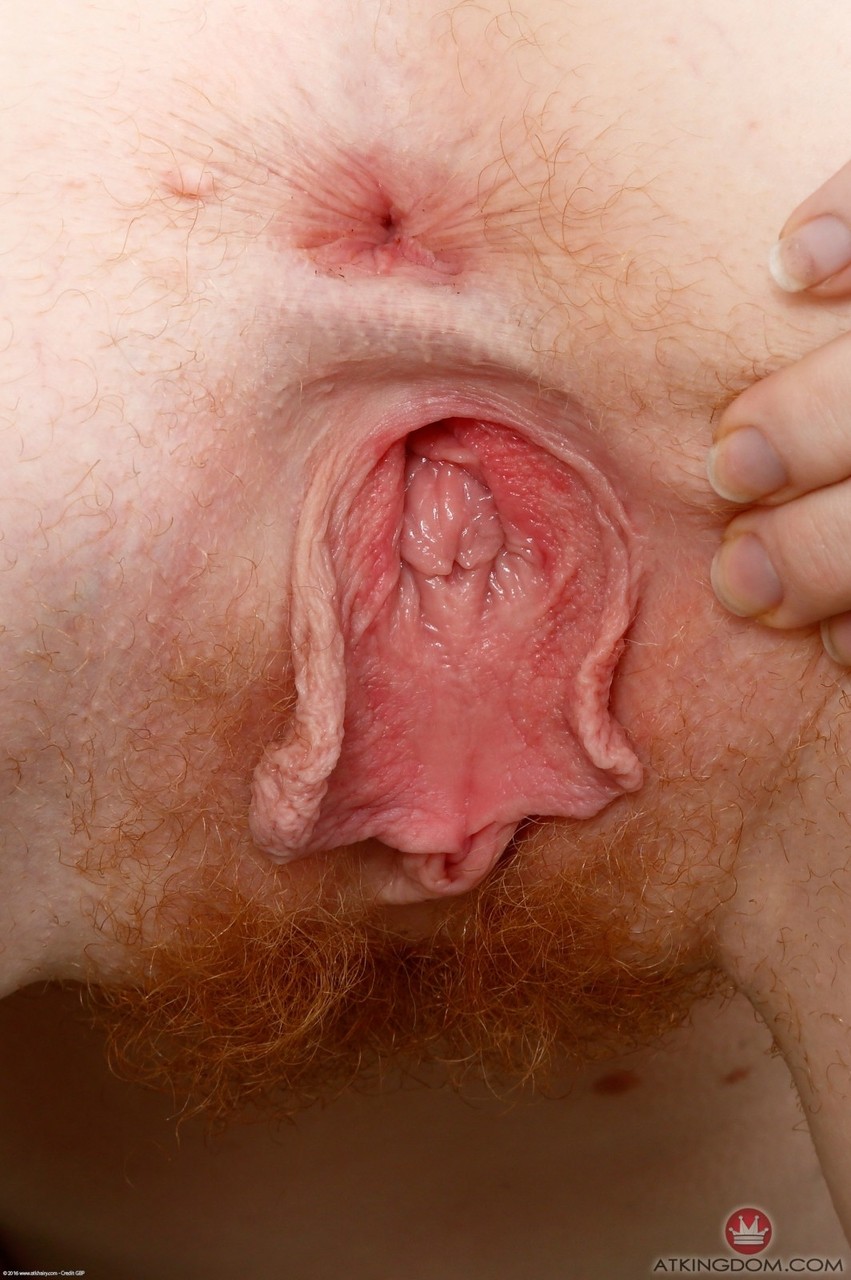 American beautiful pussy lick - XXXonXXX - Pic 13