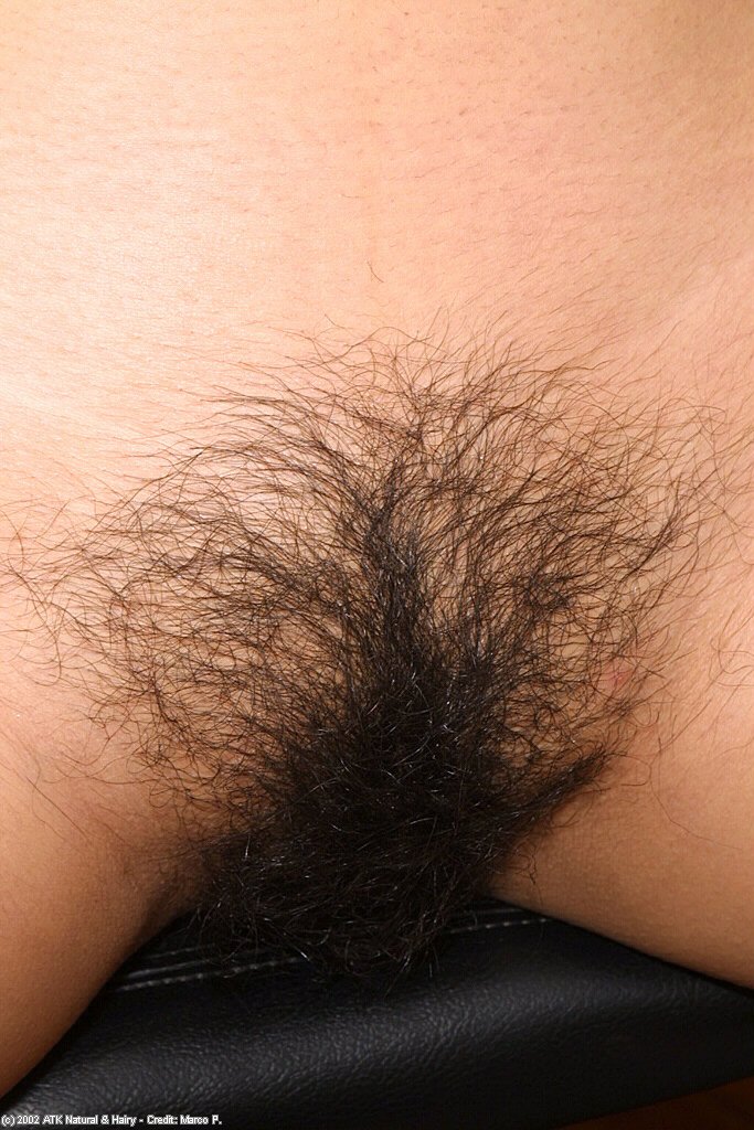 Natural tits hairy latina pussy - XXX Dessert - Picture 14