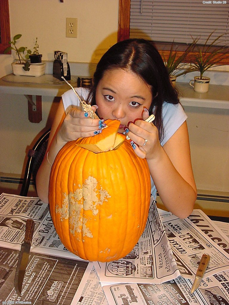 Small hairy cunt - XXX Dessert - Picture 2