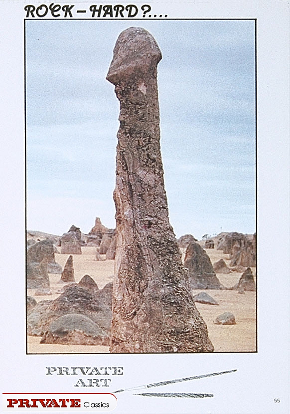 Vintage pussys. Sexy erotic artistic shots  - XXX Dessert - Picture 2