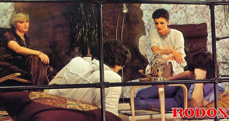 Xxx hardcore. Two hairy seventies couples s - XXX Dessert - Picture 1