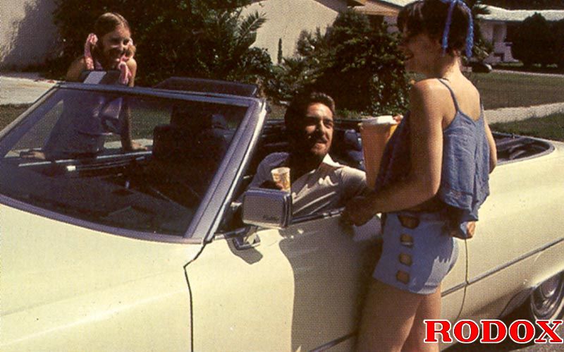 Hairy twat. Seventies senior fucking two cu - XXX Dessert - Picture 2