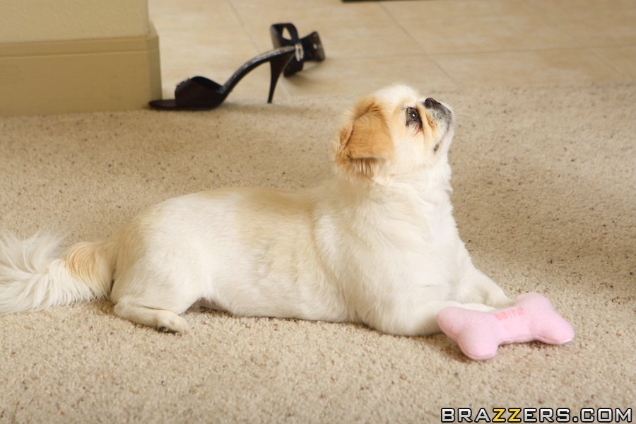 American model footjob - XXXonXXX - Pic 16