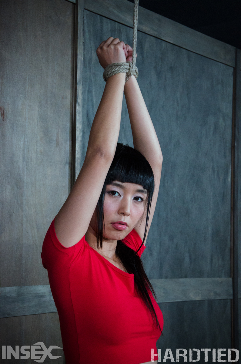 Japanese hard tied bondage - XXX Dessert - Picture 1