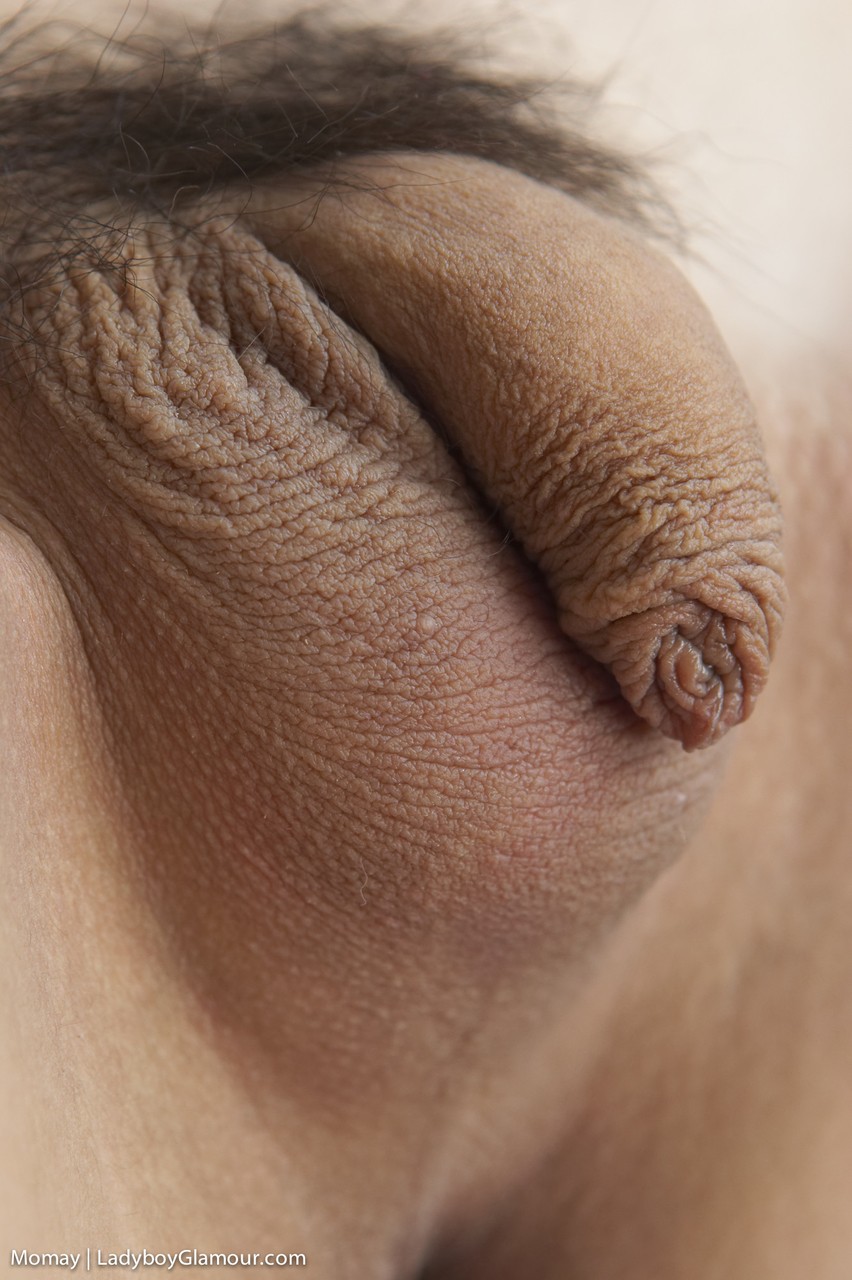 Sexy penis - XXX Dessert - Picture 10