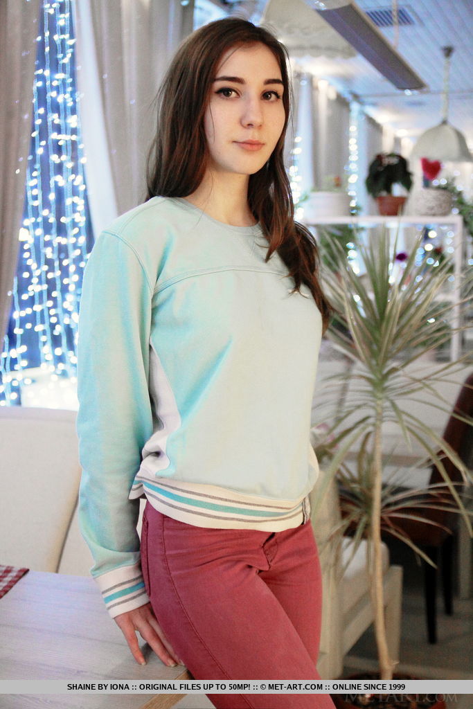 Clothed nude glamour - XXX Dessert - Picture 2