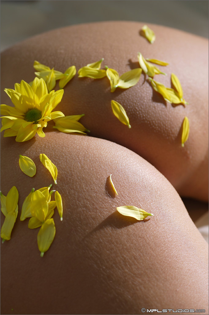 Model breast - XXX Dessert - Picture 10