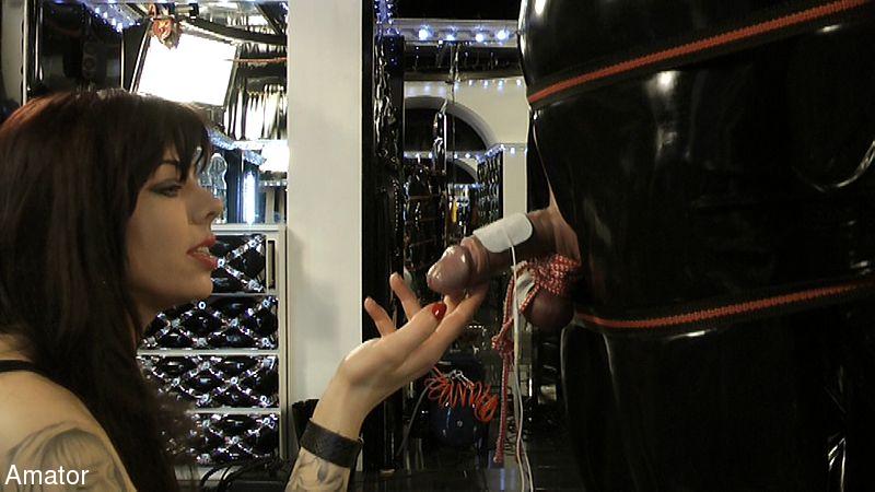 Assortment of sex toys for the submissive g - XXX Dessert - Picture 2