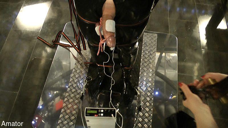 Assortment of sex toys for the submissive g - XXX Dessert - Picture 3