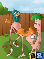 Toon sex. Phineas and Ferb share pussy.