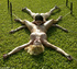 Bondage galleries. Sexy hitchikers staked to the lawn in Paradise.
