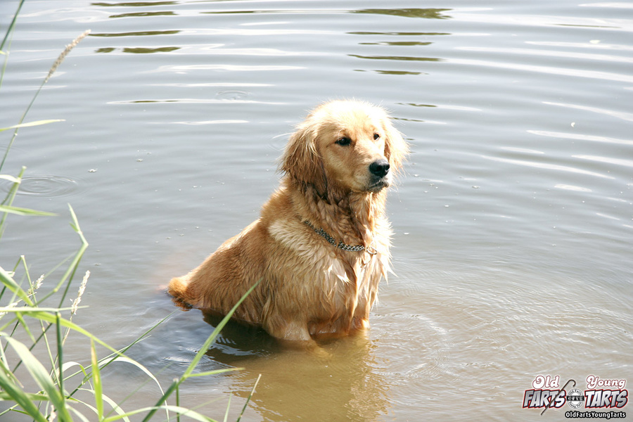 Young &amp; old. Brunette teen rewards horn - XXX Dessert - Picture 2