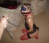 bondage porn teens and