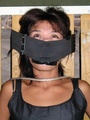Bondage girls. Roped, gagged and fucked. - Picture 11