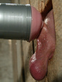 Strap on. Men in pain. - Picture 12