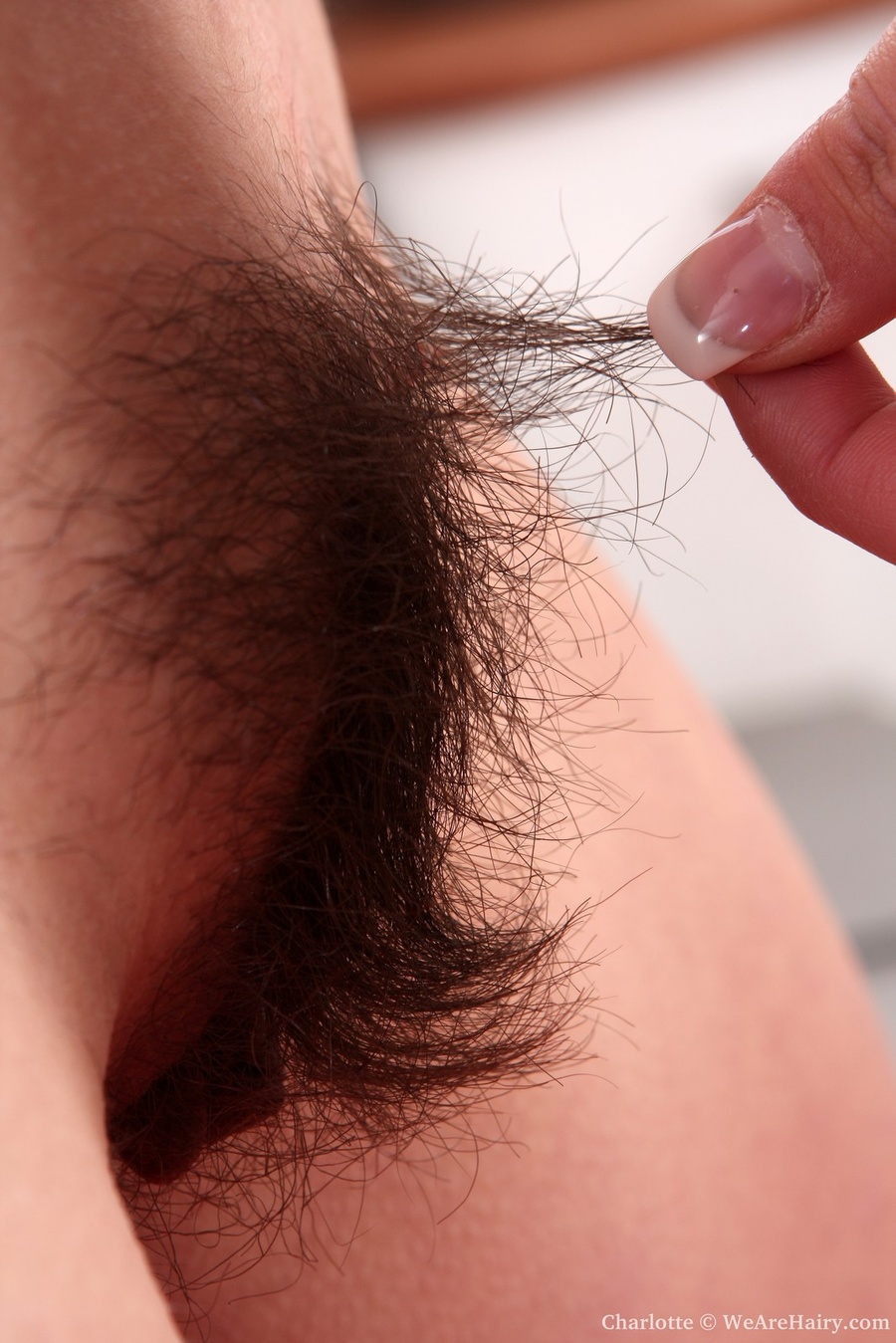 Hairy nude. Try and sneak a peak through Ch - XXX Dessert - Picture 9