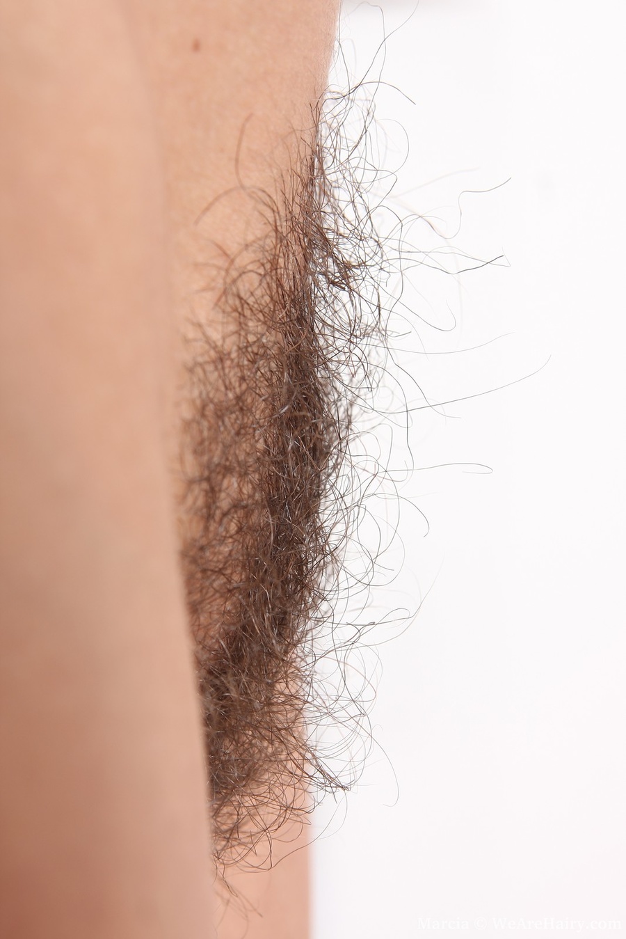 Sexy hairy. Sit back and relax as the stunn - XXX Dessert - Picture 9
