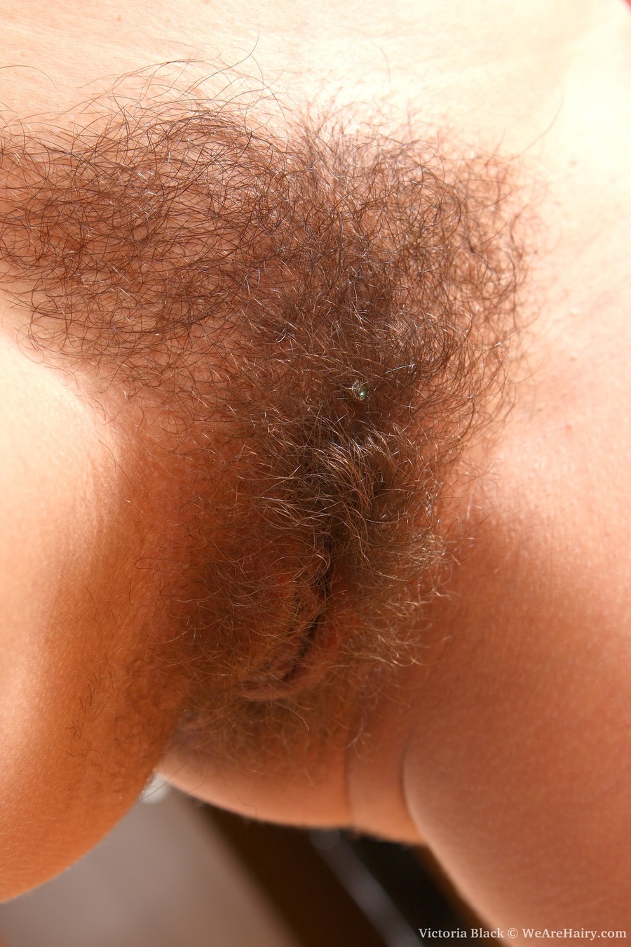 Hairy xxx. Beautiful, natural, and hairy... - XXX Dessert - Picture 8