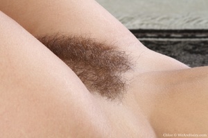 Hairy nude. See Chloe's perfectly curved - Picture 16