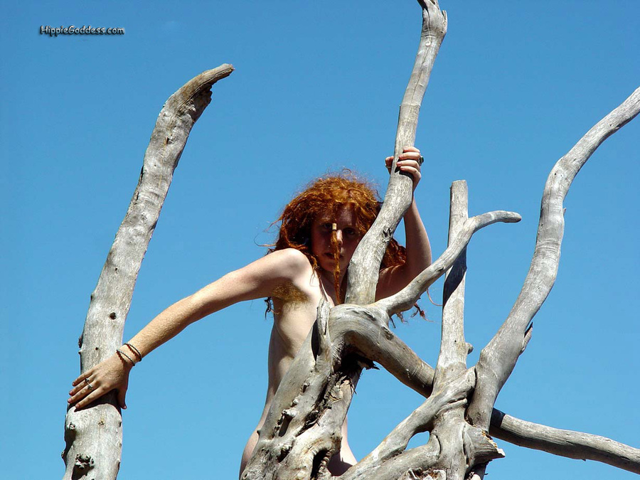 Horny hairy pussy. Young, Red haired, dread - XXX Dessert - Picture 16