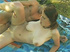 teen xxx big titted