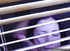 teen porn nasty guy