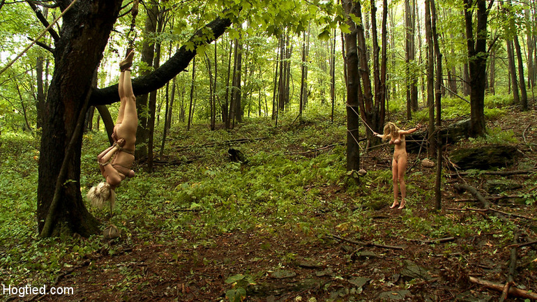The Dig: The conclusion, A BDSM Abduction - Unique Bondage - Pic 7