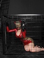 Gorgeous cat women Latex Lucy craving a - Picture 2