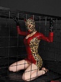 Gorgeous cat women Latex Lucy craving a - Picture 3