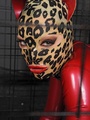 Gorgeous cat women Latex Lucy craving a - Picture 5