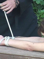 Naked lovely tied to a bench and caned - Picture 15