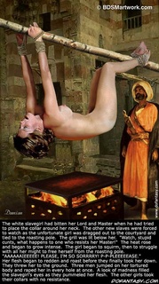 Sado comic. Enjoy your last cum slave, because tonight i shall watch my women tie you down, spread your legs and burn away your clit!