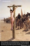 Sado cartoons. We offer you sixty gold coins for this slave and we promise