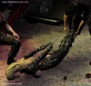 Bondage comics. Girl caught and bound by two military guys!