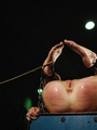 Chained sexy beauty gets her pussy - Picture 2