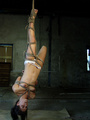 Hanged upside down brunette in ripped - Picture 1