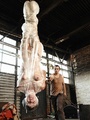 Suspended head down naked girl gets - Picture 4