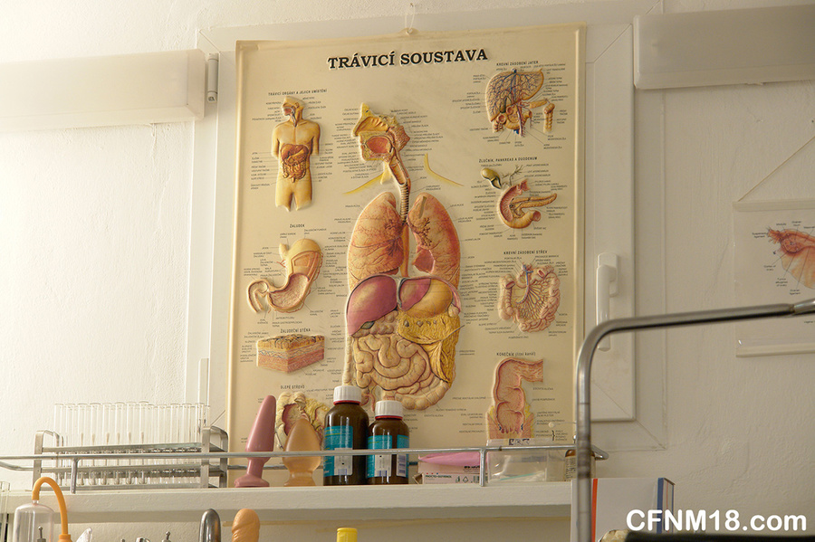 Awesome CFNM fuck party performed by four s - XXX Dessert - Picture 8