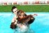 Kinky pool party