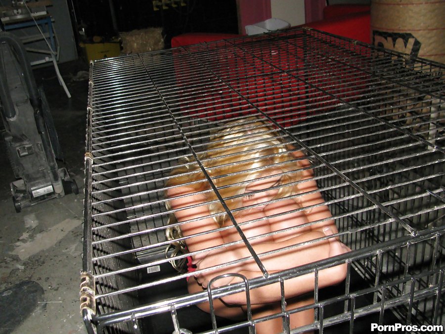 American cage - XXXonXXX - Pic 5