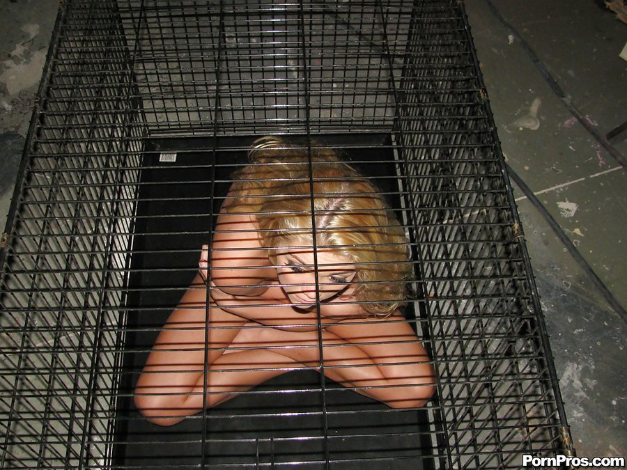 American cage - XXXonXXX - Pic 15