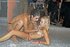 Dirty european lesbian kissing