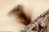 slutty erotic lingerie