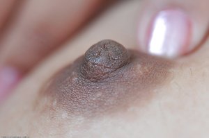 Topless hairy latina pussy - XXX Dessert - Picture 16