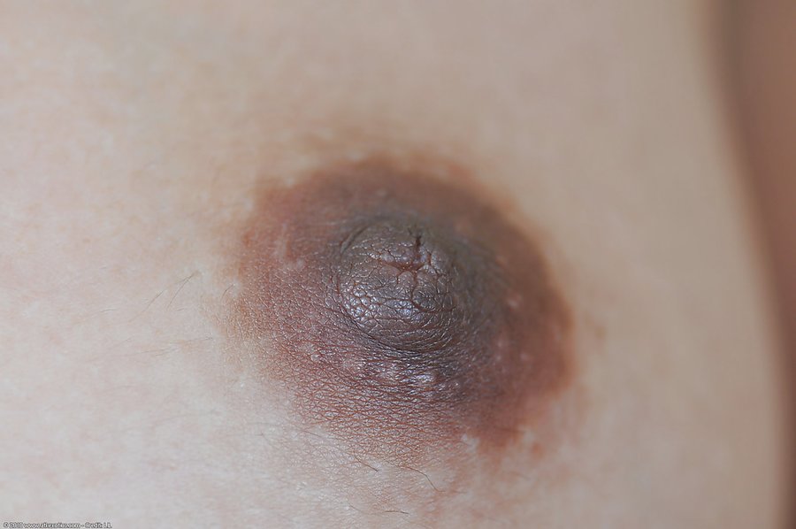 Oriental petite - XXX Dessert - Picture 16