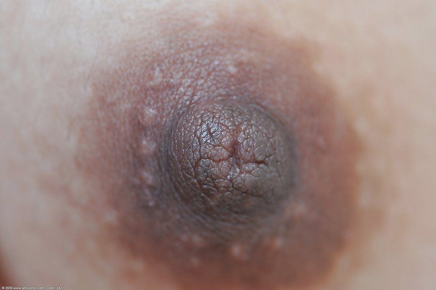 Spinner erotic amateur - XXX Dessert - Picture 16
