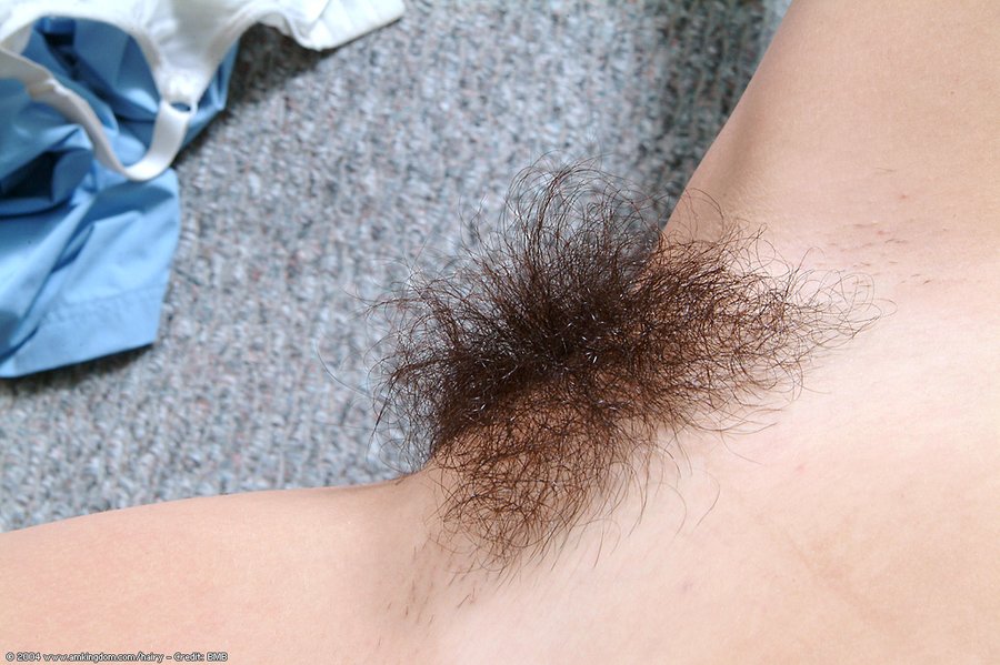 Unshaved hairy latina pussy - XXX Dessert - Picture 7