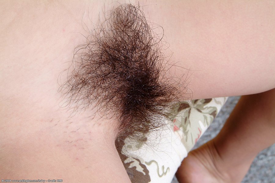 Juicy hairy latina pussy - XXX Dessert - Picture 6
